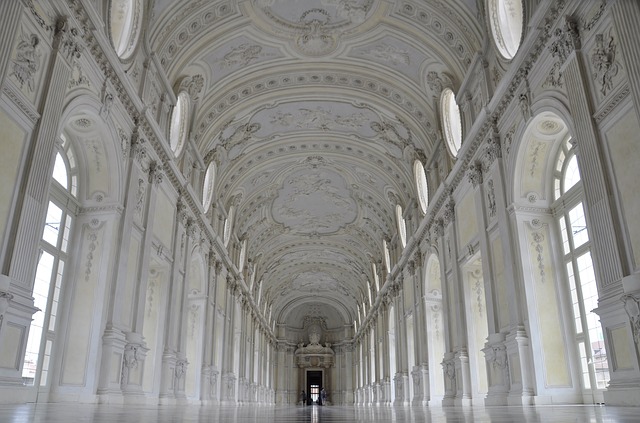 cosa vedere alla venaria reale galleria